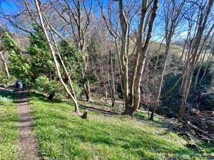 Photo 50- click for photo gallery